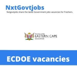 Eastern Cape Department of Education Vacancies 2022 @eceducation.gov.za