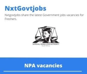 NPA Court Preparation Officer Jobs 2022 Apply now @npa.gov.za