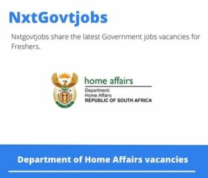 Department of Home Affairs State Accountant Vacancies in Mthatha 2023