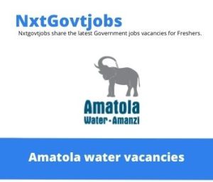 Amatola Water Maintenance Foreman Vacancies in East London 2023