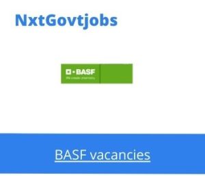 BASF Supply Chain Manager Vacancies in Port Elizabeth 2023
