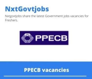 PPECB Cold Chain Assessor Vacancies in East London 2023