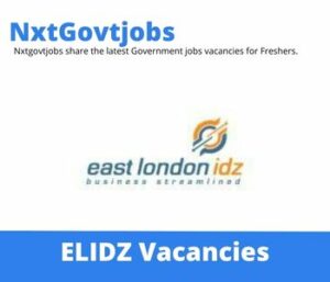 ELIDZ Performance Monitoring And Evaluation Specialist Vacancies in East London 2023