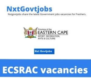 Registry Clerk vacancies in Eastern Cape Department of Sport Recreation Arts and Culture – Deadline 07 Jul 2023
