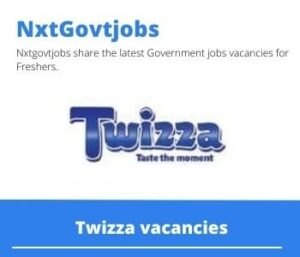 Twizza Service Utilities Artisan Vacancies in Queenstown- Deadline 24 Aug 2023