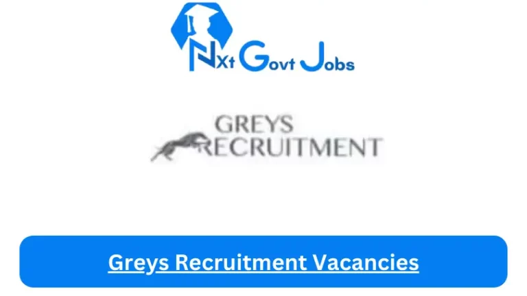 Greys Recruitment Application Developer Vacancies in Port Elizabeth